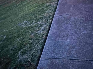 Weeding by Eric Aguirre for Brad H. in Carrollton, TX