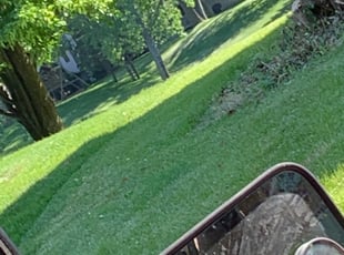 Bush Trimming by Carlos Sarinana for Chahira I. in Minneapolis, MN