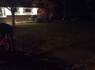 Leaf Removal by Tyron Parks for Charles S. in North Olmsted, OH