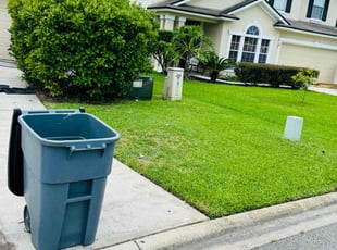Brandon S.'s Grass Cutting service result