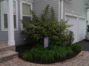 Weeding by John Bell for Rob R. in Walkersville, MD