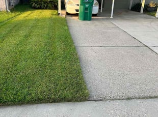 Iona D.'s Lawn Mowing service result