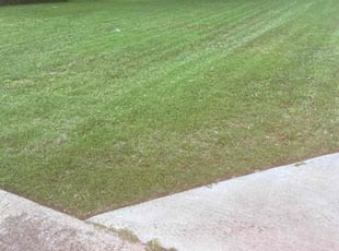 Malik A.'s Lawn Mowing service result