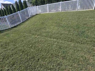 Melissa F.'s Lawn Care service result