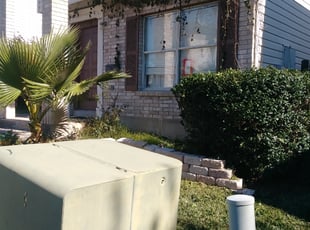 Bush Trimming by JackieAnn Talley for Corinne D. in San Antonio, TX