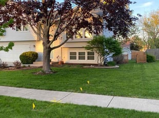 Brandall L.'s Lawn Mowing Service service result