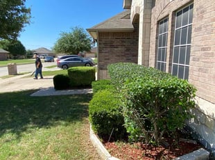Bush Trimming by Edward Rodriguez for Lindsey P. in Fort Worth, TX