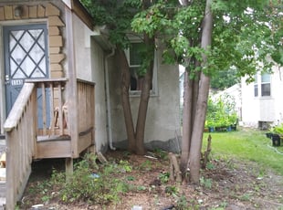 Cleanups by David Gallaway for Janis R. in Saint Paul, MN