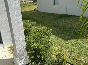 Bush Trimming by Jim Jones IV for Rick L. in Ruskin, FL