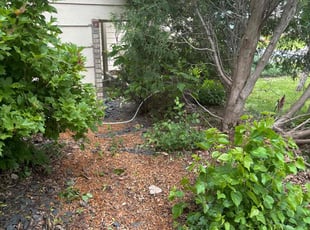 Bush Trimming by Jason Leger for Frances O. in Coon Rapids, MN