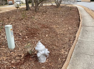 Leaf Removal by Maria Mauro for John O. in Lawrenceville, GA