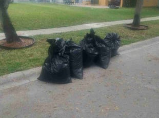 Leaf Removal by Frank Furia for Douglas G. in Wellington, FL