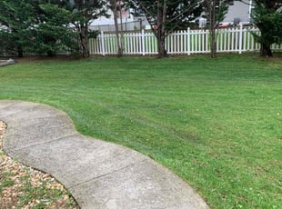 Novlet W.'s Grass Cutting service result