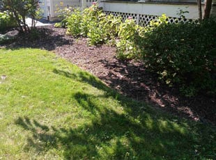 Lucia M.'s Flower Bed Weeding service result