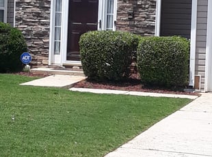 Damien K.'s Bush Trimming service result