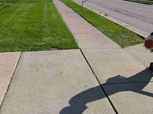 Sheila E.'s Lawn Service service result