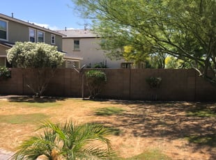 Bush Trimming by Gage Bosworth for Mary M. in Surprise, AZ