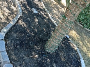 Leaf Removal by Enrique Palacios for Cameron N. in Austin, TX