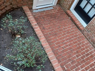 Bush Trimming by Bismarck Jaldin for Steve W. in Washington, DC
