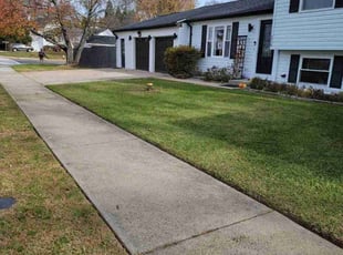 Reginold C.'s Lawn Mowing service result
