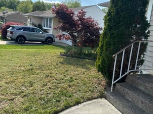 Bush Trimming by Keith Fernandes for Steve S. in Wenonah, NJ