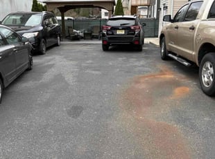 Cleanups by Donald Dauphin for Jermaine A. in East Orange, NJ