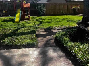 Bush Trimming by Nicholas Paul for Lisa D. in Lake Jackson, TX