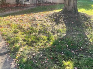 Cleanups by Phillip Crews for Kathryn W. in Toledo, OH