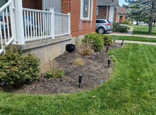 Weeding by Mitchell Johnson for Kelly L. in Cincinnati, OH