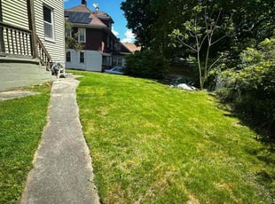 Danna N.'s Yard Cutting service result