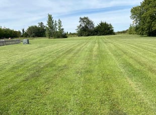 Justin W.'s Lawn Mowing service result
