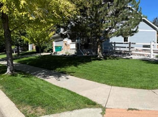 Craig H.'s Grass Cutting service result