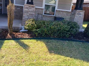 Bush Trimming by Alvin Barrios for Xin L. in Oklahoma City, OK