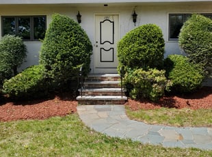 Mulching by Percy Esteban Perez for Donald W. in Brockton, MA