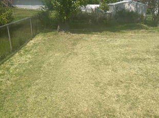 Landscaping by Dwayne Hope for Rhonda S. in Edgewood, MD