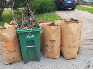 Cleanups by Lucio Gonzales for Marissa D. in Austin, TX
