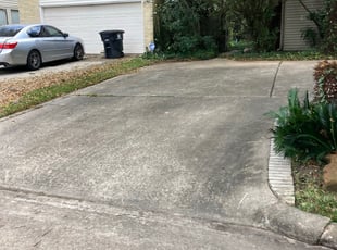 Bush Trimming by Stephanie Bohorquez for Denise L. in Houston, TX
