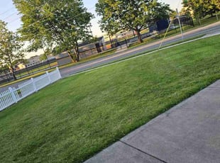 Vincent C.'s Lawn Service service result