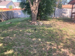 Cleanups by Fredrick Miller for Heidi H. in San Antonio, TX