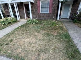Landscaping by Elijah Brown for Leroy D. in Camden, NJ