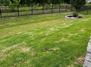 Weeding by Samuel Sims for Stacey N. in Huntersville, NC