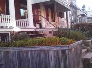 Bush Trimming by Waylon Drey for Faith D. in Allentown, PA