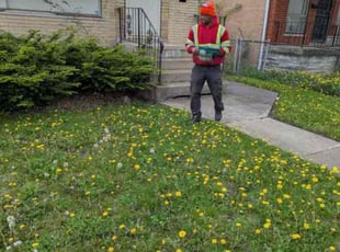 Weeding by Larry Cornelious for Kelly E. in Chicago, IL