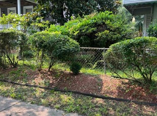 Bush Trimming by Valera Swearngin for Kathy H. in Norfolk, VA