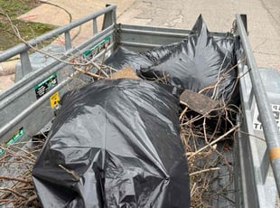 Leaf Removal by Adrian Gallardo for Kristin C. in Garland, TX