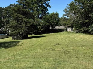 James A.'s Lawn Service service result