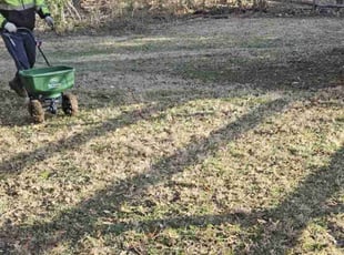 Aeration by Rose Valle for Sally S. in Burke, VA