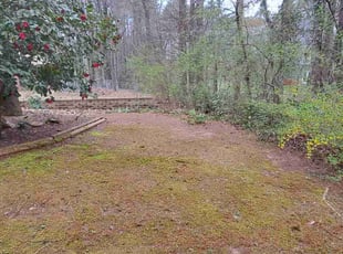 Leaf Removal by Jibade Williams for Sandra H. in Clarkston, GA