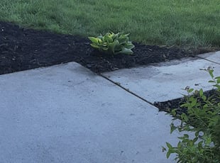 Cleanups by Diamond Smith for Brittany D. in Wauwatosa, WI