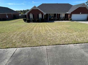 Bush Trimming by Jestin Oxendine for Javon B. in Hephzibah, GA